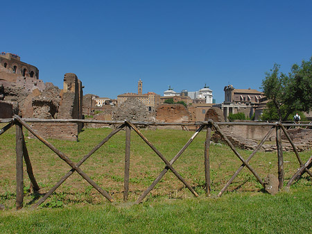 Alter Zaun - Latium (Rom) (Rom)