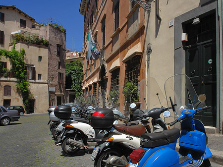 Mofa in Rom - Latium (Rom) (Rom)