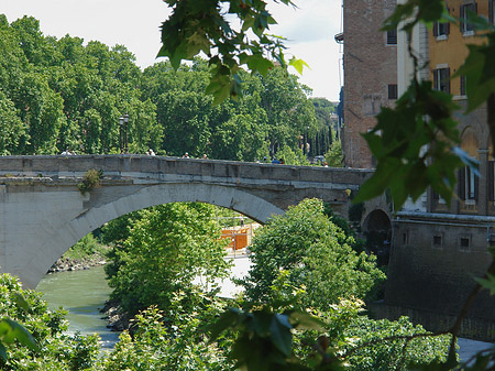 Ponte Fabricio zwischen Bäumen - Latium (Rom) (Rom)