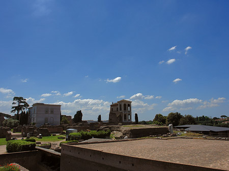 Ruinen mit Apollo Tempel - Latium (Rom) (Rom)