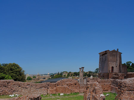 Ruinen mit Apollo Tempel - Latium (Rom) (Rom)