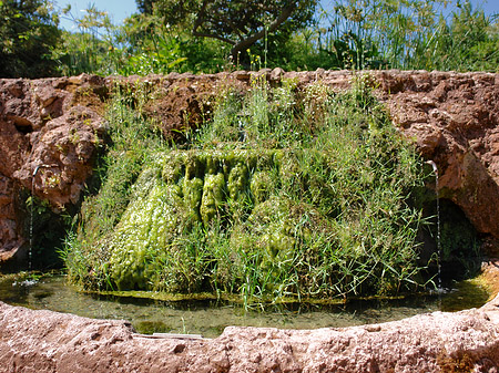 Brunnen am Palatin - Latium (Rom) (Rom)