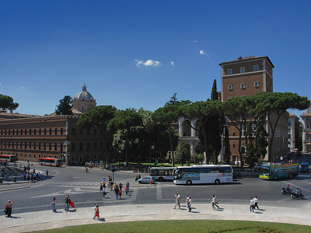 Busse auf der Piazza - Latium (Rom) (Rom)